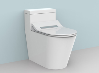 intelligent toilet seat