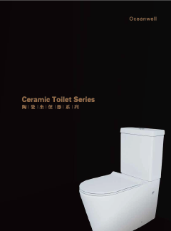 Ceramic toilet 