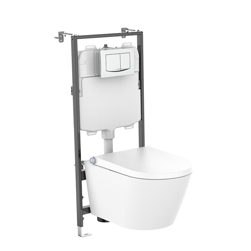 wall hung concealed cistern