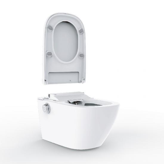 Popular Smart Toilet