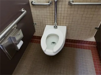 Bazı umumi tuvaletlerin U şeklinde oturma halkaları kullanmasının nedenleri