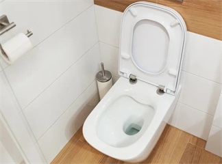 Çıkarılabilir Klozet Kapakları Gerçekten Temiz Tuvaletlerin Sırrı mı?